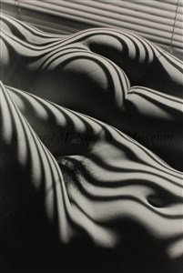 Image description is not available for 2007.111